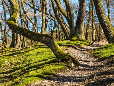 短信网页在线轰炸源码
